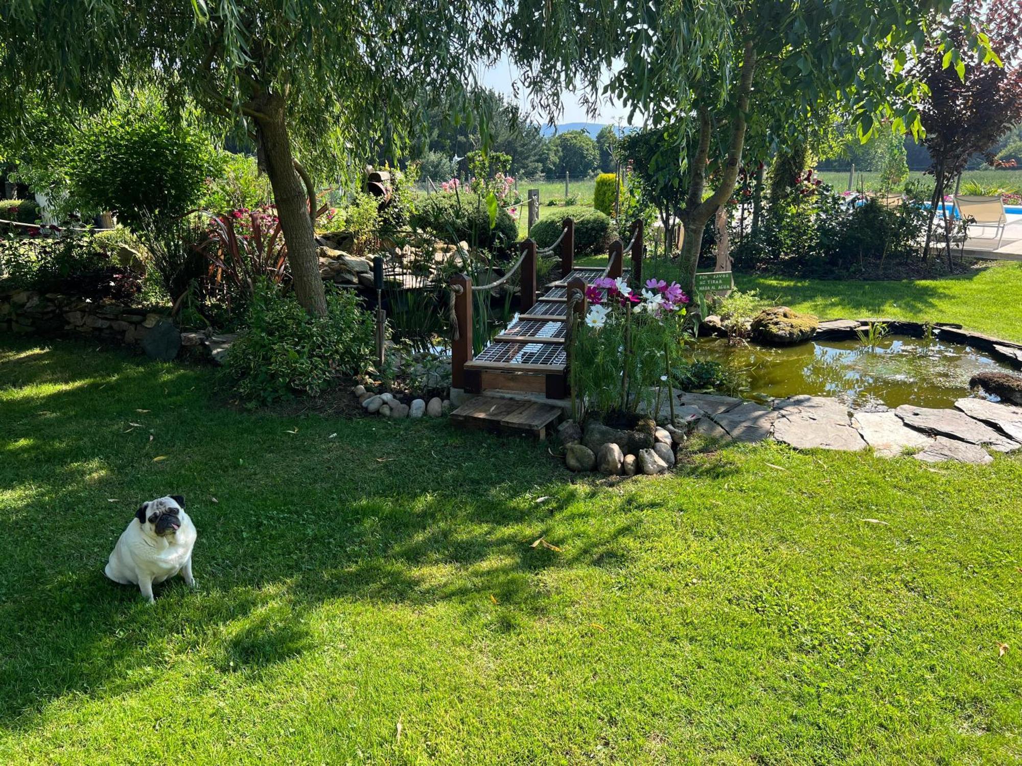 Villa Albaredo Villameá Kültér fotó